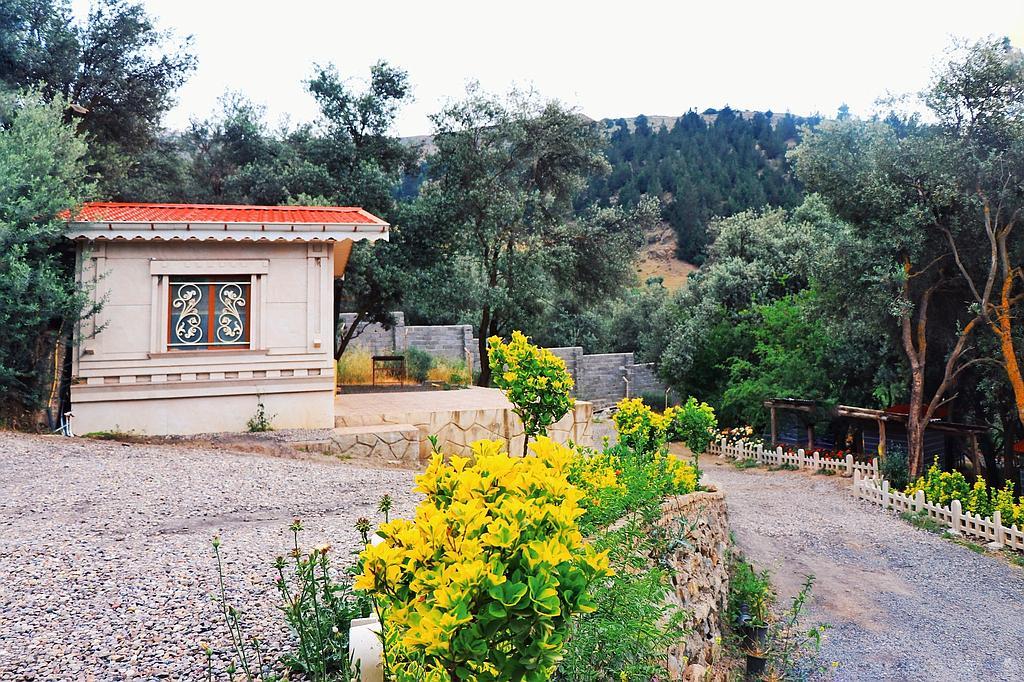 مجموعه اقامتی گیله جا در باغ زیتون_واحد 1