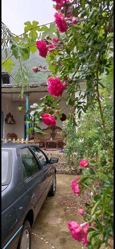 ويلا سنتی آرامش مینودشت گلستان