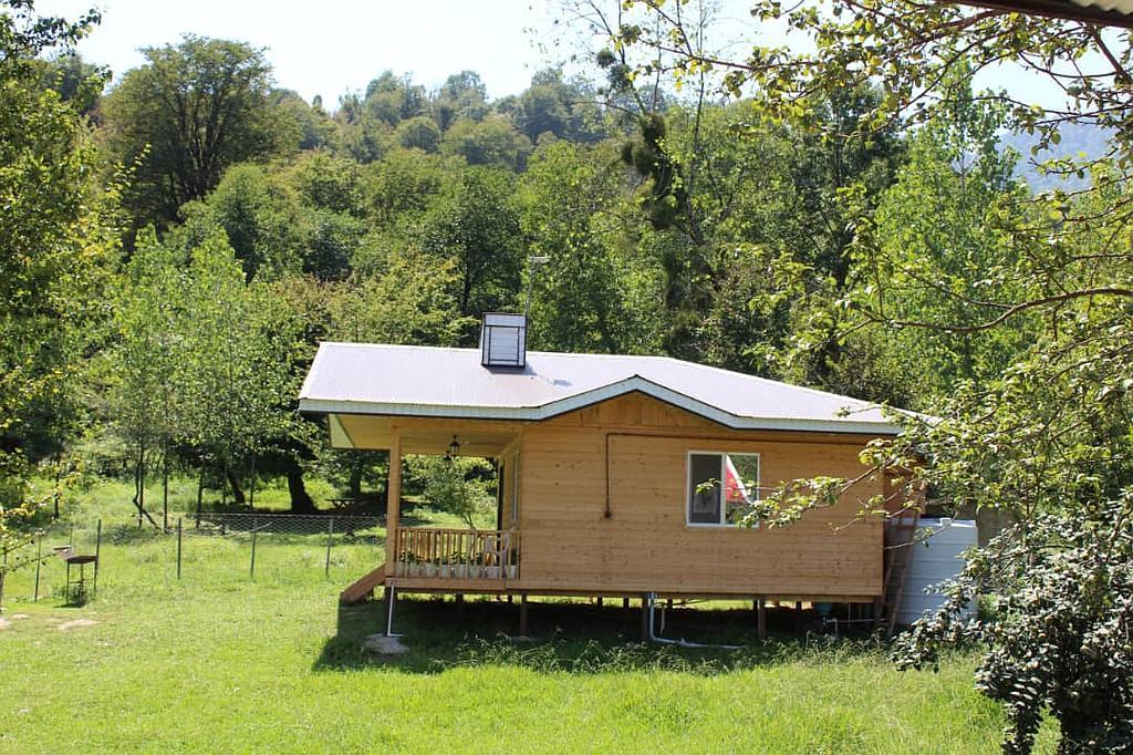 اجاره کلبه جنگلی در دل جنگل ماسال