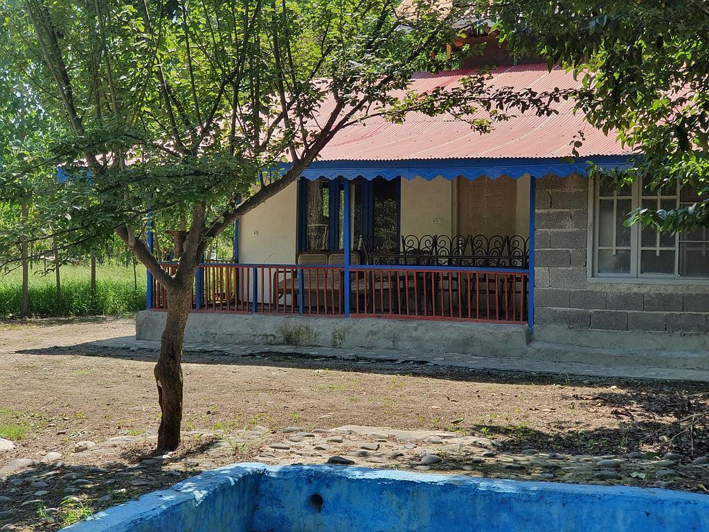 مجتمع اقامتی و باغ بهبهانی _ میخک