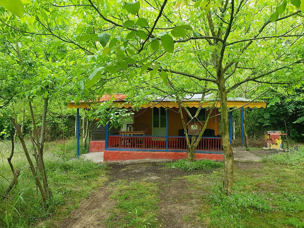 مجتمع اقامتی بهبهانی _ رز جنگلی