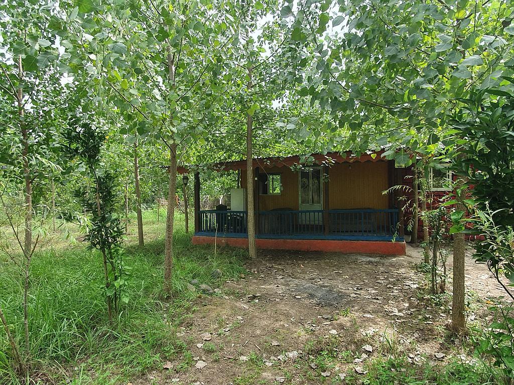 مجتمع اقامتی و باغ بهبهانی _ بنفشه