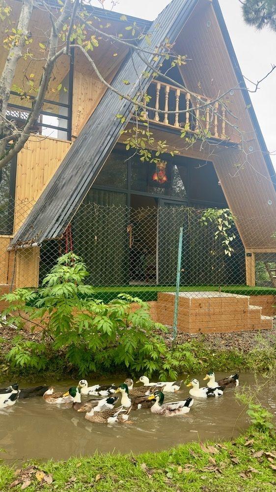 کلبه سوئیسی دو خواب کنار رودخانه