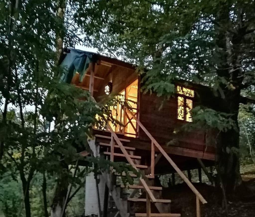 اجاره کلبه چوبی جنگلی در لاهیجان