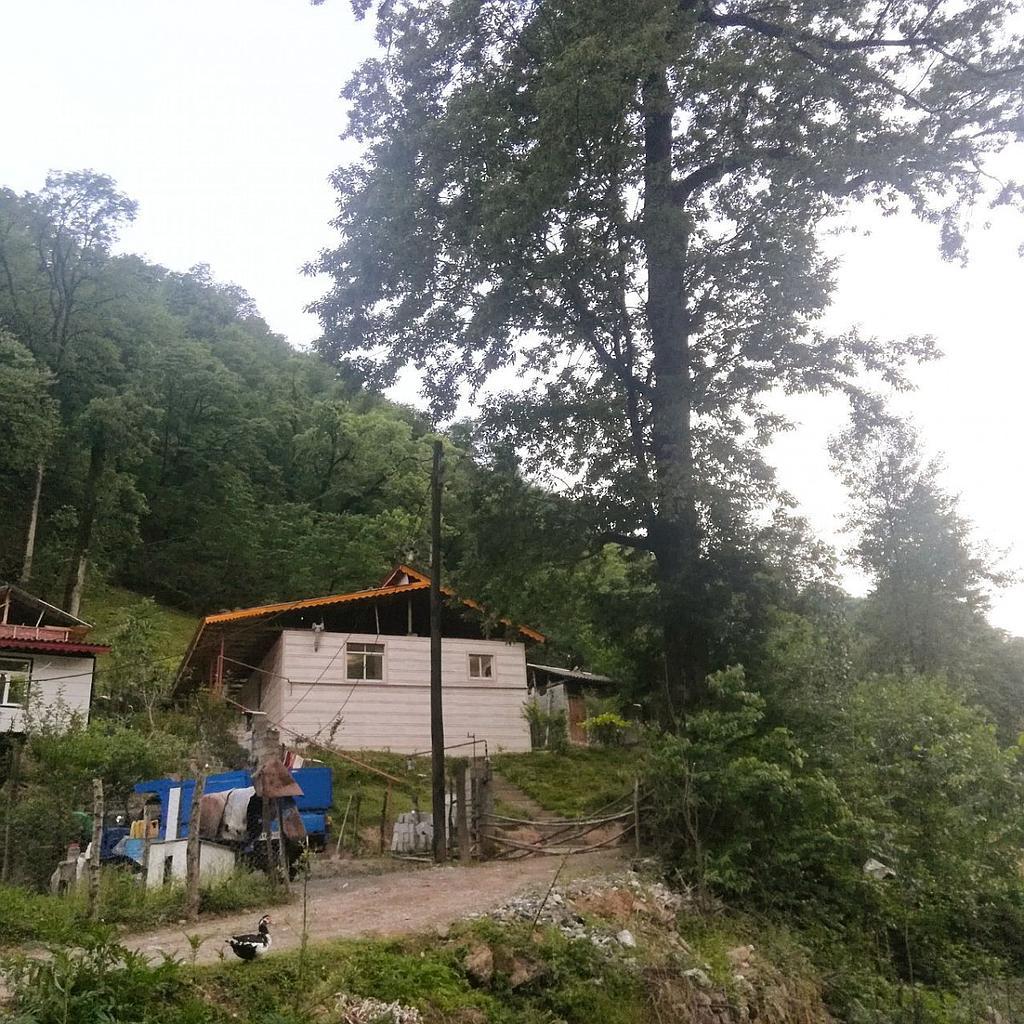 ویلا روی کوه و جنگل بر رودخانه اسالم