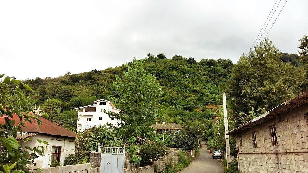 سوئیت آپارتمان تالش نزدیک جنگل و شهر