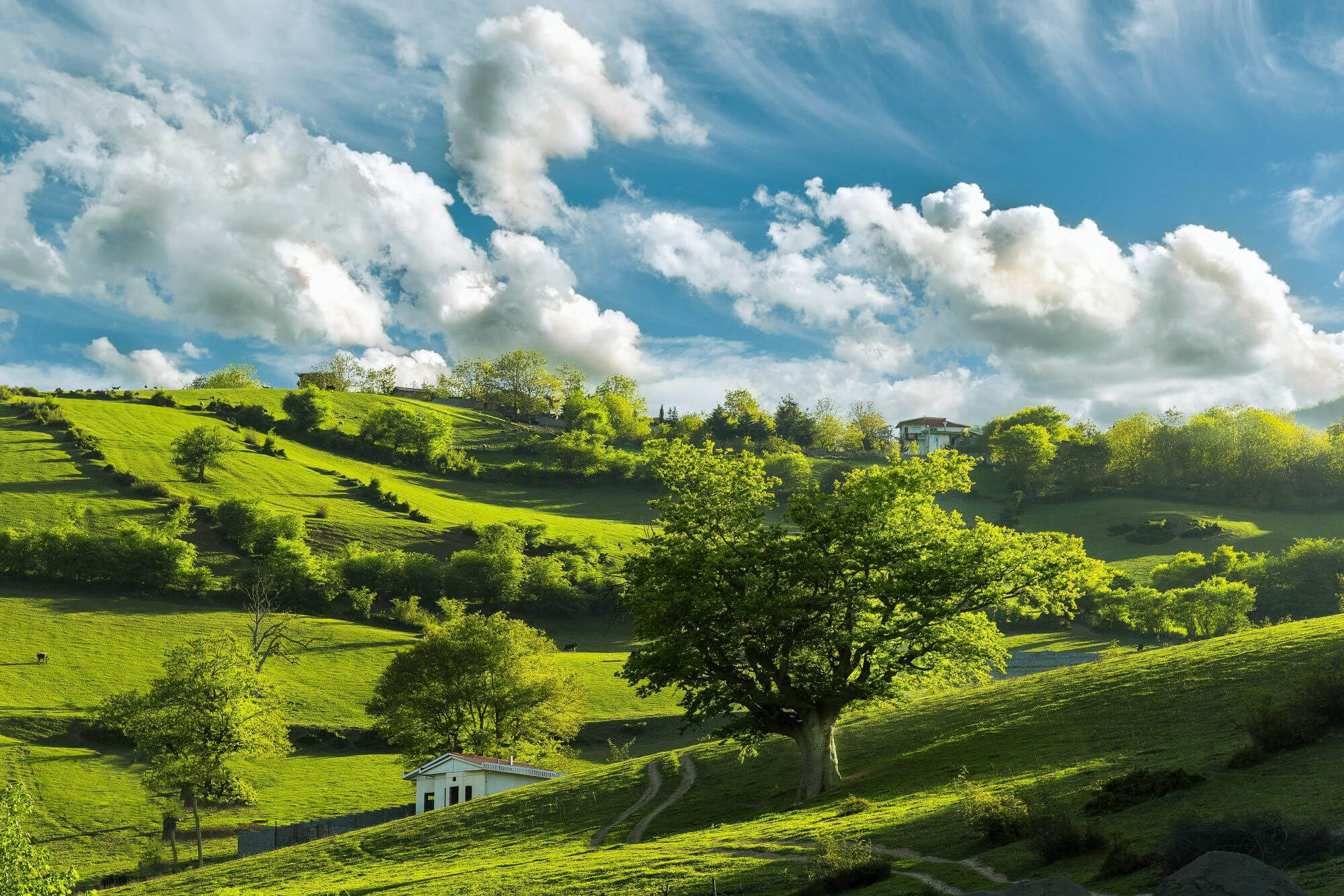 راهنمای سفر به کلاردشت