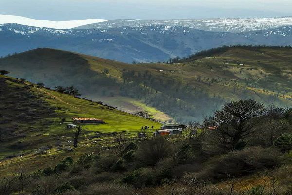 توصیف سرسبزترین جنگلهای شمال