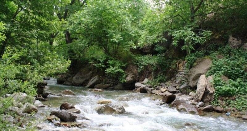 سفری به برغان؛ سرزمین جادوی سبز ایران