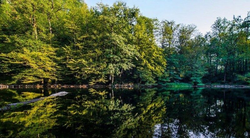 دریاچه فراخین راهنمای سفر به نوشهر