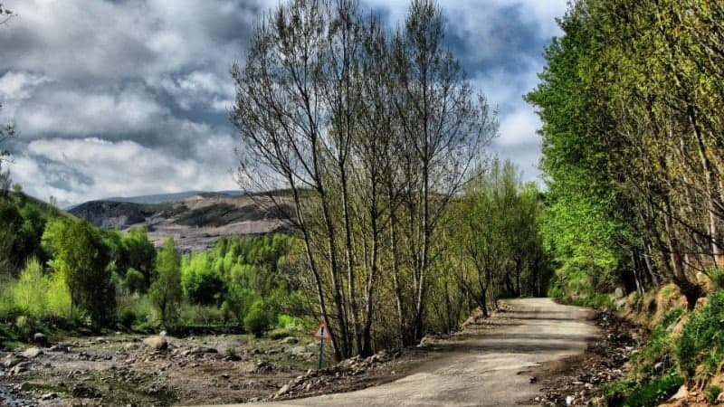 پارک جنگلی خیاوا چایی طبیعت گردی و معرفی مناطق بکر اردبیل