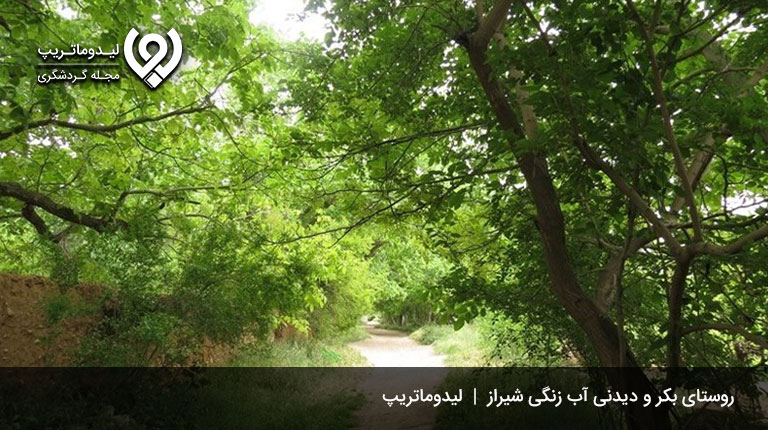 روستای-آب-زنگی-شیراز