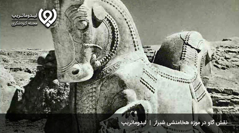 موزه-هخامنشی-شیراز-موزه های شیراز