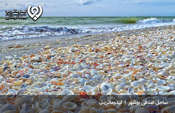 ساحل-صدفی-بوشهر
