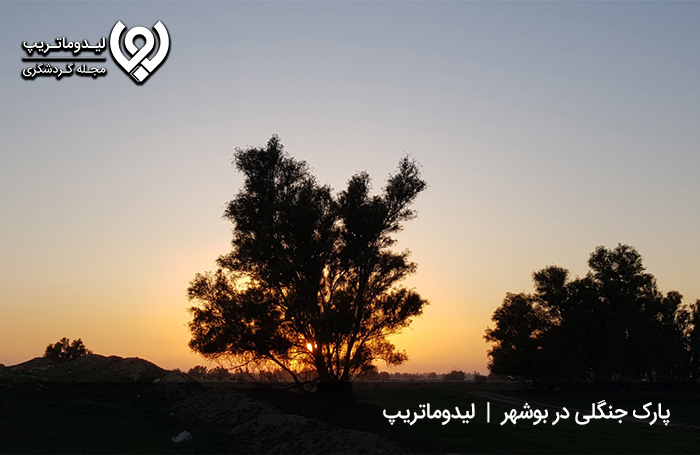 برای-یک-طبیعت‌گردی-لذت-بخش-در-بوشهر،-کجا-بریم؟