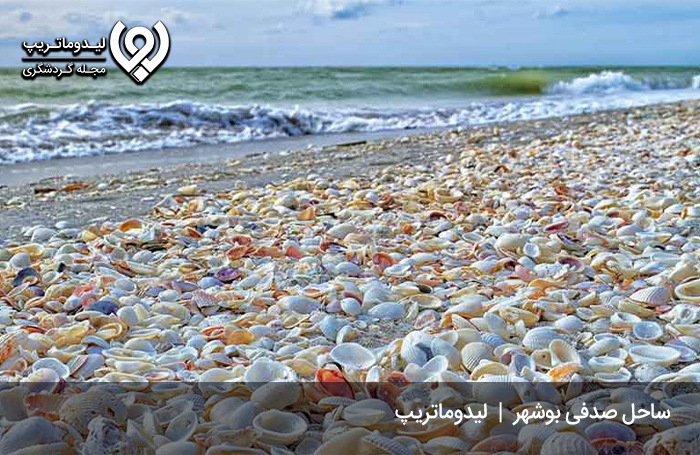 ساحل-صدفی-بوشهر