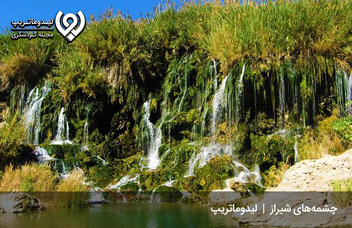 چشمه-گویم-شیراز