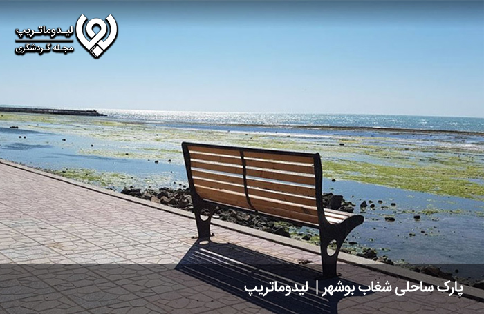 پارک-ساحلی-شغاب