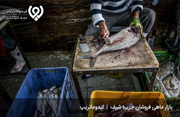 بازار ماهی فروشان؛ تجربه طعم لذت‌بخش ماهی تازه