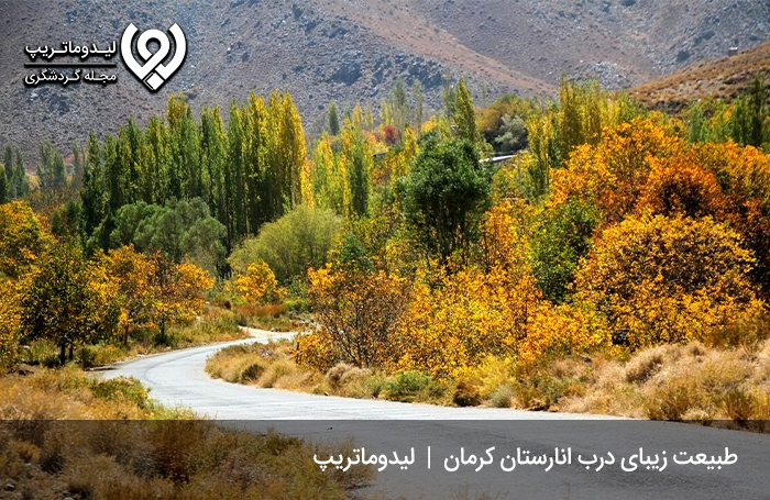 درب انارستان؛ تابع بخش مرکزی شهرستان کرمان