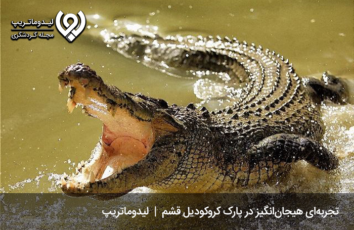 زمان بازدید از تنها پارک کروکودیل در ایران