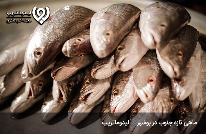 ماهی-و-میگو-لذیذ-و-تازه-بوشهر