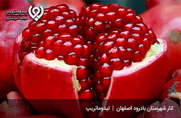 میوه‌های-اصفهان؛-تنوع-بالای-میوه