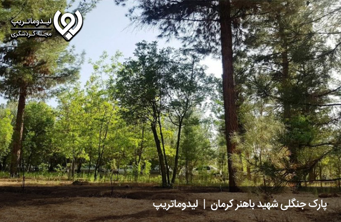 پارک-جنگلی-شهید-باهنر،-پارک-خانوادگی-شهر-کرمان