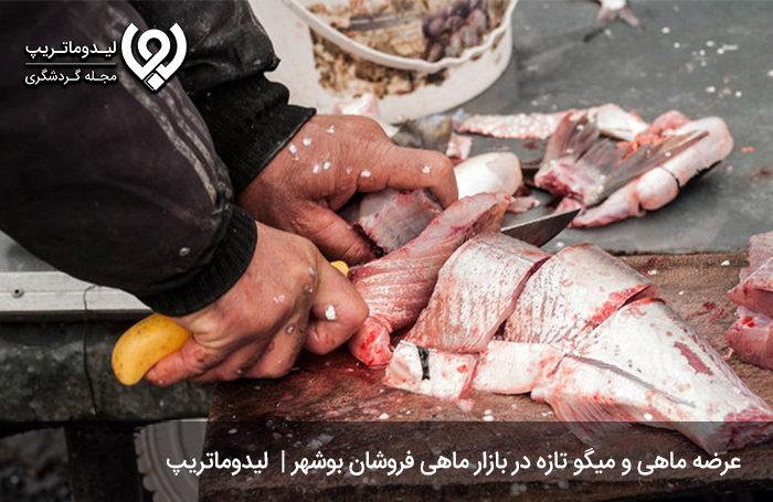 بازار-ماهی-فروشان-بوشهر،-بازارچه-قدیمی-عرضه-ماهی-و-میگو