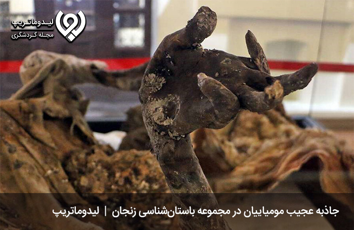 مرد نمکی 1 در موزه باستان شناسی زنجان