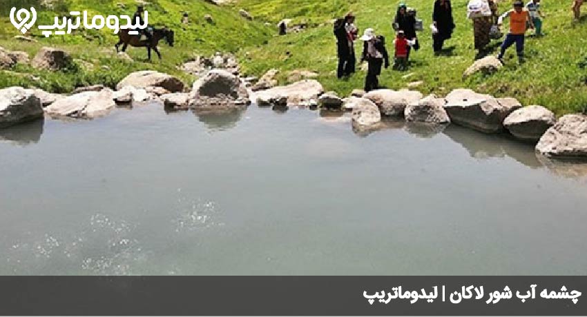 چشمه آب شور لاکان 